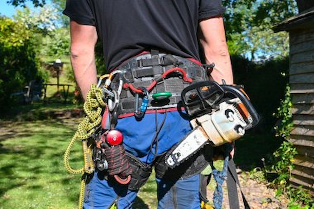 Service d’élagage professionnel